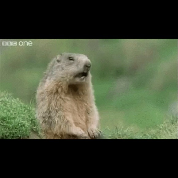 Meet your Posher, Jill - Picture 1 of 1